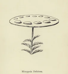 Minspysia Deliciosa